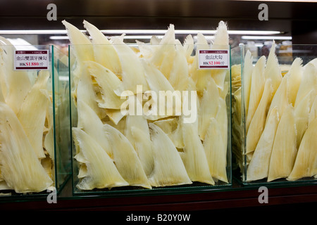 Flossen der Haie auf Verkauf im Shop in Wing Lok Street Sheung Wan Hong Kong China Stockfoto