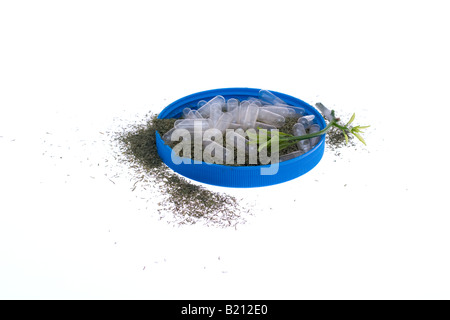 Dillunkraut mit einem Key Lime Zweig und Kunststoffkapseln in einem blauen Container. Stockfoto