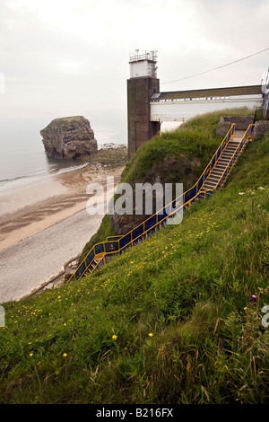 UK-Tyne und tragen Sunderland Marsden Rock Seevogel Brutkolonie in der Nähe von Aufzug zur Grotte Stockfoto