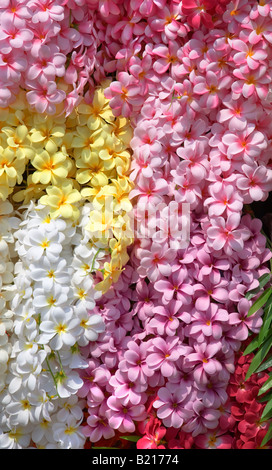 Pastell Blumen zum Verkauf an Chatuchak Market, Bangkok, Thailand Stockfoto