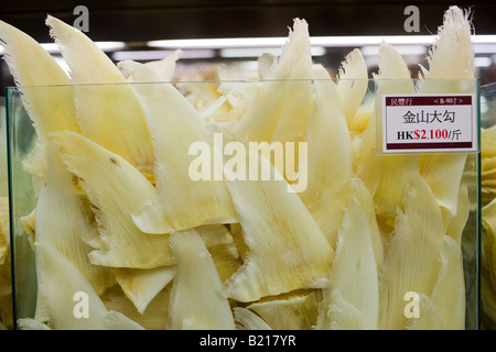 Flossen der Haie auf Verkauf im Shop in Wing Lok Street Sheung Wan Hong Kong China Stockfoto