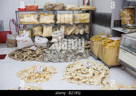 Haifischflossen auf Verkauf im Shop in Wing Lok Street Sheung Wan Hongkong China Stockfoto