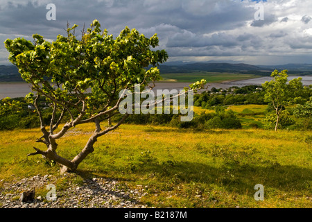 Blick über die Kent-Mündung Morecambe Bay aus Arnside Knott Cumbria UK mit der Seenplatte-Hügeln in der Ferne sichtbar Stockfoto