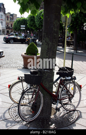 Zwei Fahrräder, angekettet an einen Baum auf dem malerischen Stadtplatz, La Place Morny, in Deauville, Normandie, Frankreich Stockfoto