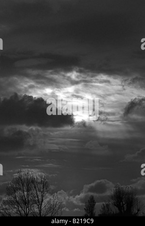 Grauen Himmel mit schwachen Sonnenschein über Winter Laubbäume drohen Stockfoto