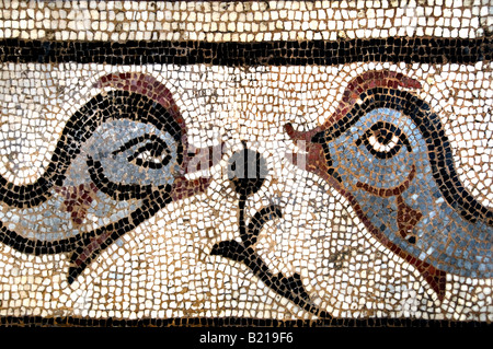 Fisch-Abschnitte der Monate und Jahreszeiten Pflaster 4. Jahrhundert n. Chr. Carthage griechische Archäologie Mythologie Geschichte Griechenlands classic Stockfoto