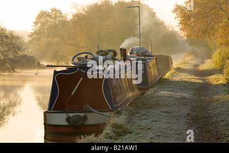 Schmale Boote vertäut am Grand Union Canal West London im frühen Morgenlicht. Stockfoto