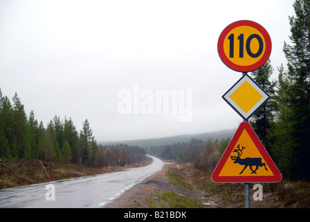 Ein Verkehrszeichen Warnung vor der Gefahr der Rentiere auf den Straßen in Nordschweden. Stockfoto