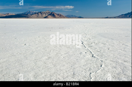 Bonneville Salt Flats in Utah Veranstaltungsort für automotive Geschwindigkeit Studien Stockfoto