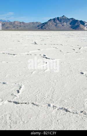 Bonneville Salt Flats in Utah Veranstaltungsort für automotive Geschwindigkeit Studien Stockfoto