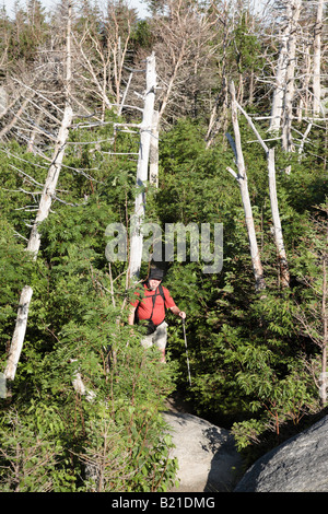 Wanderer erklimmen Caps Ridge Trail in den Sommermonaten befindet sich in den White Mountains New Hampshire USA Stockfoto