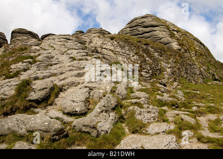 Haytor Rock auf Dartmoor Stockfoto