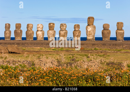 Südamerika Chile Rapa Nui Isla de Pascua Osterinsel Ahu Tongariki die größte Ahu auf der Insel Stockfoto