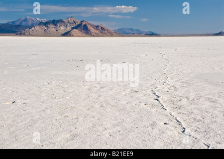 Bonneville Salt Flats in Utah Veranstaltungsort für automotive Geschwindigkeit Studien Stockfoto