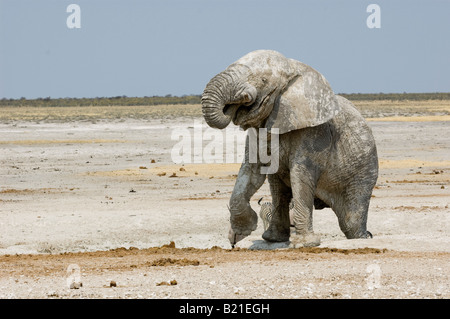 Elefant bedeckt mit Schlamm Stockfoto