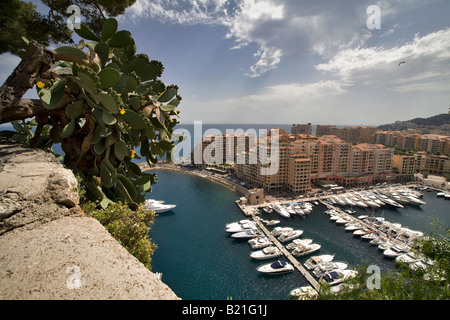 PORT DE FONTVIELLE HAFEN FÜRSTENTUM MONACO SÜDFRANKREICH Stockfoto