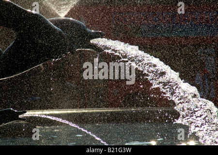 Eines der Delphin geformt Brunnen auf dem Londoner Trafalgar Square. Stockfoto