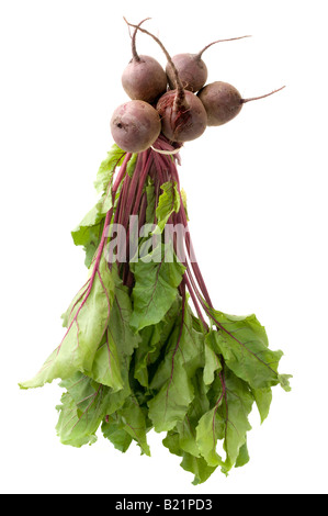 Reihe von fünf 5 rohe rote Beete mit tops Stockfoto
