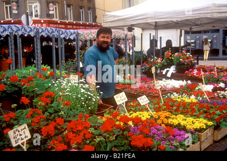 Lille - Blume Stand auf dem Sonntagsmarkt in De Wazemmes Stockfoto