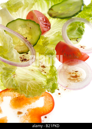 Batavia Salat auf einem weißen Hintergrund redaktionelle Essen Stockfoto