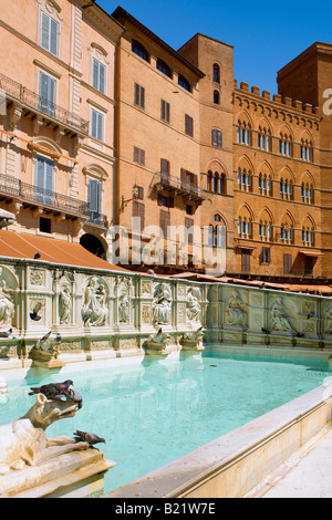 Fonte Gaia in Piazza del Campo in Siena Stockfoto