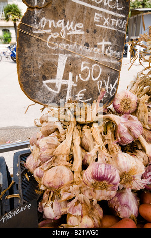 Die Anzeige von Knoblauch, Cours Saleya Markt, Altstadt von Nizza, Südfrankreich Stockfoto