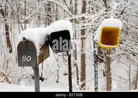 Ein Postfach und Zeitung Boxen Line-up am Rande des New England Wald im winter Stockfoto