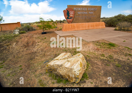 Versteinerte anmelden Hinweistafel Petrified Forest National Park Stockfoto