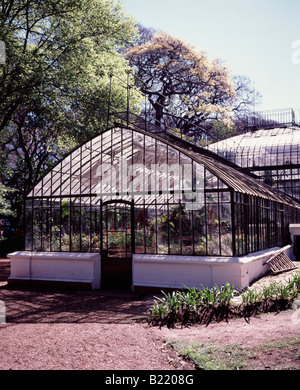 Ein Wintergarten im Botanischen Garten Buenos Aires Argentinien Stockfoto