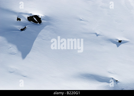 Neuschnee mit schöner Oberflächenstruktur Stockfoto