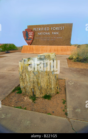 Versteinerte anmelden Hinweistafel Petrified Forest National Park Stockfoto