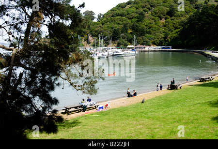 Picknickplatz am Ayala Cove, Angel Island State Park, Kalifornien Stockfoto