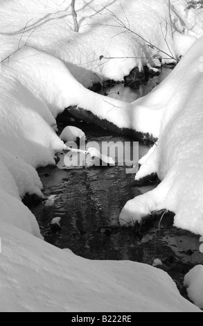 Die Winterserie erleben Sie Bilder, die die Essenz des kanadischen Winters zarten Winter Stream im Schnee Quebec Stockfoto