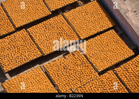 STIEG Blütenblätter sind auf Dächern in CHANDNI CHOWK OLD DELHI Indien getrocknet. Stockfoto