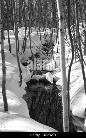 Die Winterserie erleben Sie Bilder, die die Essenz des kanadischen Winters zarten Winter Stream im Schnee Quebec Stockfoto