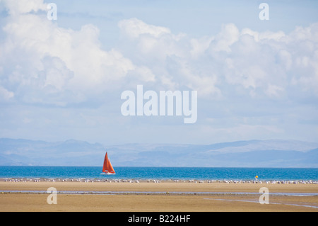 Rote Segel einer Yacht in der Cardigan Bay am Strand Warren Abersoch auf der Llyn Lleyn-Halbinsel Gwynedd North Wales UK GB Stockfoto