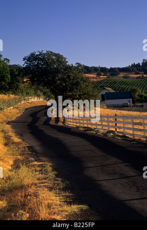 Morgenlicht über Landstraße in der Nähe von Gerber Weinberge Murphys Calaveras County in Kalifornien Stockfoto