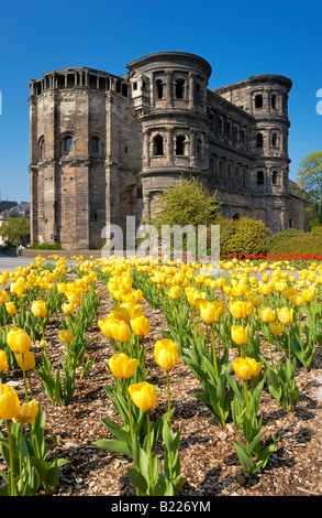 Porta Nigra, römische Stadttor, Tulpen, Trier, Deutschland, Europa Stockfoto