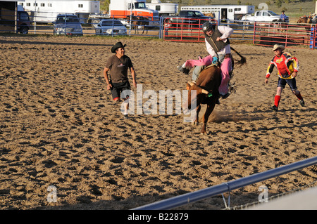 Land-Rodeo in der Nähe von Bryce Canyon in Utah, USA Stockfoto