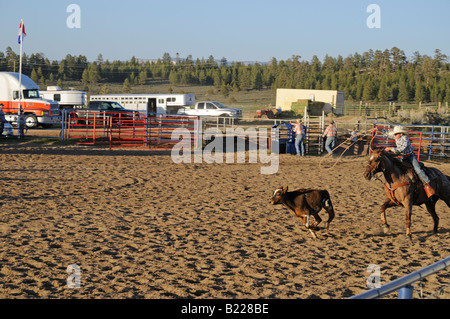 Land-Rodeo in der Nähe von Bryce Canyon in Utah, USA Stockfoto