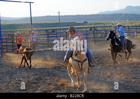 Land-Rodeo in der Nähe von Bryce Canyon in Utah, USA Stockfoto