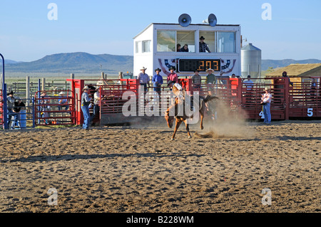 Land-Rodeo in der Nähe von Bryce Canyon in Utah, USA Stockfoto