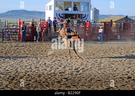 Land-Rodeo in der Nähe von Bryce Canyon in Utah, USA Stockfoto