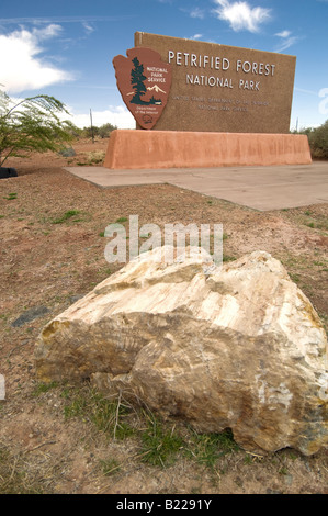 Versteinerte anmelden Hinweistafel Petrified Forest National Park Stockfoto