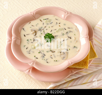 Pilzsuppe mit sautierten Pilzen, Gemüse, Wildreis, Hühnerbrühe und Creme Basis gemacht Stockfoto