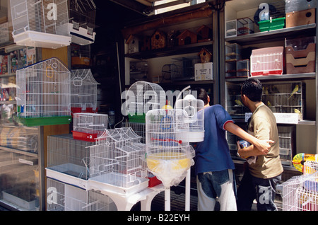 Vogel-Verkäufern auf Las Ramblas Barcelona Spanien Stockfoto