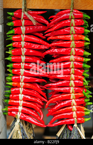 Rot-heiße Paprika hängen in Shirakawa Dorf Japan Stockfoto
