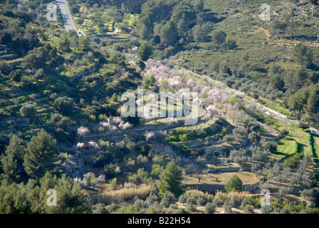 Berg-Terrassen von P.R.V.53 zum Castellet de l'Ocaive, in der Nähe von Alicante Provinz, Comunidad Valenciana, Pedreguer, Spanien Stockfoto