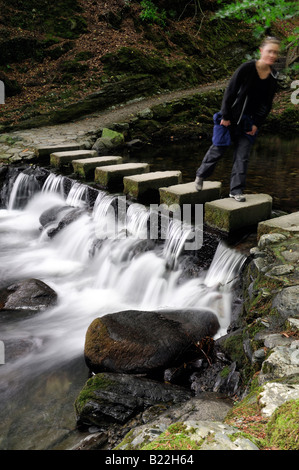 Frau zu Fuß über die Vertiefung der Steinen Fußweg Gehweg überqueren Kreuz über die Shimna Fluss Tollymore Grafschaft, Nord-Irland Stockfoto