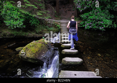 Frau zu Fuß über die Vertiefung der Steinen Fußweg Gehweg überqueren Kreuz über die Shimna Fluss Tollymore Grafschaft, Nord-Irland Stockfoto